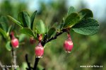 nahled-vlochyne-0154